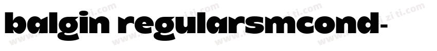 balgin regularsmcond字体转换